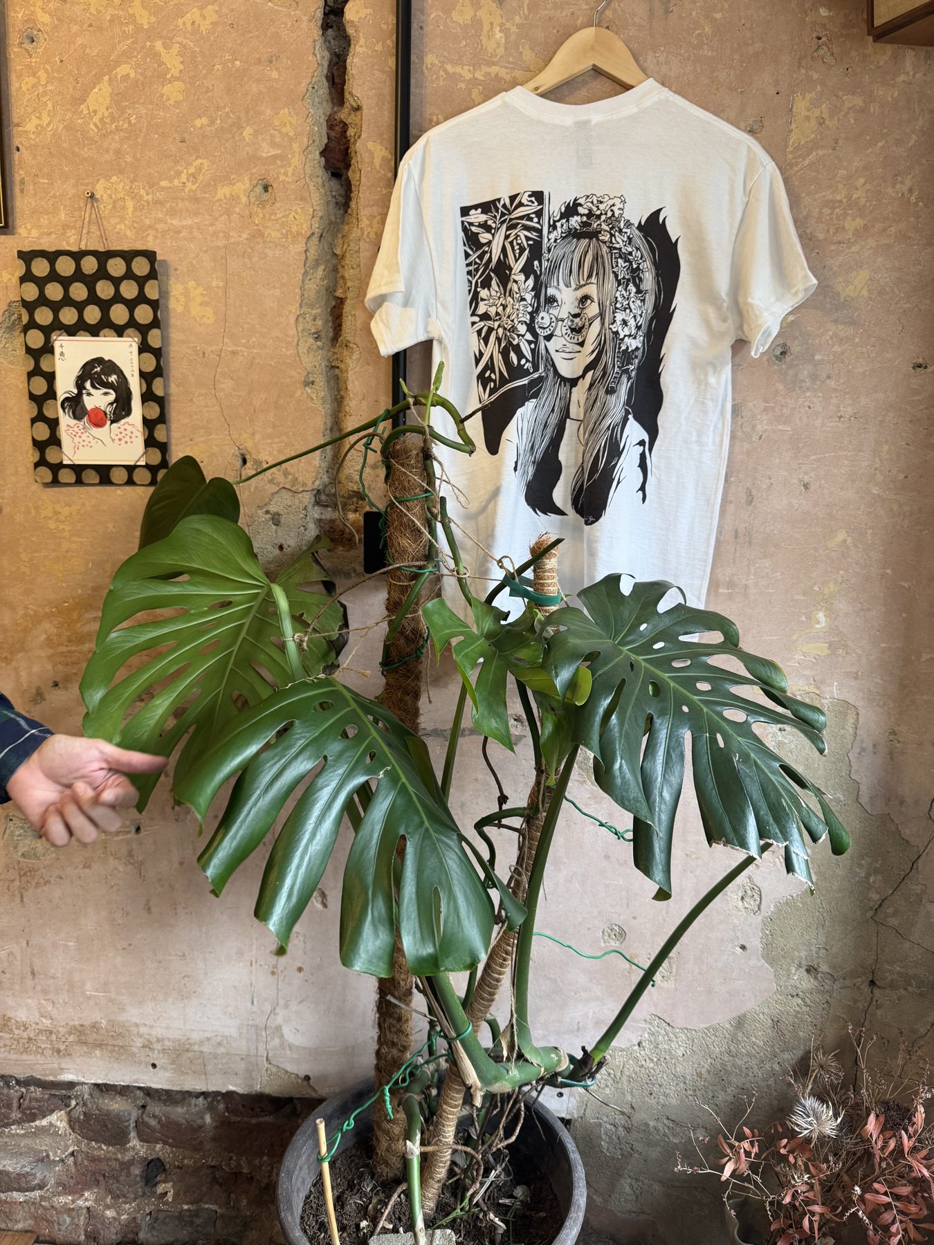 Printed T-shirt and framed drawing on the shop's bare plaster wall